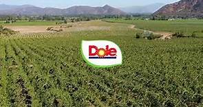 Dole plc - Aug 2021