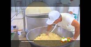 Mozzarella di Bufala Campana Dop: fasi di lavorazione