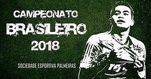 Brasileiro 2018 - Melhores Momentos do Palmeiras (Do 1º jogo até a Grande Final)