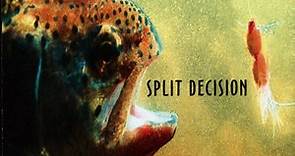 Steve Morse Band - Split Decision