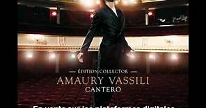 Amaury Vassili - My heart will go on (Céline Dion cover)
