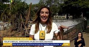 DF | Zoológico de Brasília lança tour virtual