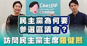 訪問羅健熙 - 民主黨為何要參與區議會選舉？| ChatDP with Emily Lau Ep. 11