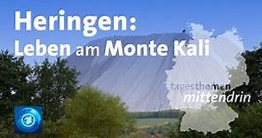 Heringen: Leben am Monte Kali | tagesthemen mittendrin