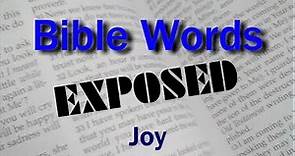 Joy (Bible Words Exposed series)