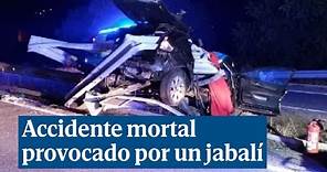 Mueren dos jóvenes de 18 años en un accidente provocado por un jabalí en Chantada (Lugo)