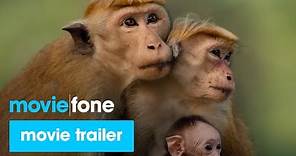 'Monkey Kingdom' Trailer (2015)