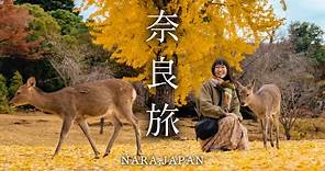 奈良ってこんなに楽しいの🦌！？朝から晩までグルメと鹿と観光三昧｜奈良旅行