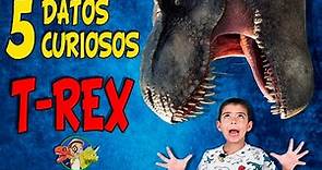 T REX | 5 datos Curiosos del Tyrannosaurus | Dinosaurios para niños | vídeos educativos DINOEXPLORA