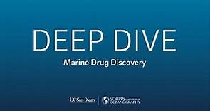 Deep Dive: Marine Drug Discovery with Paul Jensen