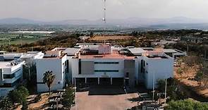 DICIS Universidad de Guanajuato // Salamanca