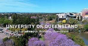 University of Queensland - Campus Tour in Jacaranda Season 2022