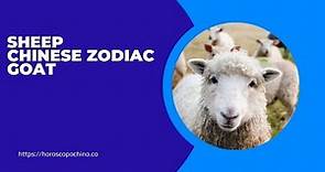 Sheep chinese zodiac, personality, goat
