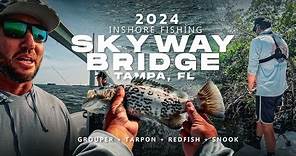 Skyway Bridge Fishing Tampa Florida Grouper Tarpon Redfish Snook | Mangroves + Bridge Legs