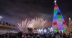 【聖誕好去處】維港一連四日聖誕假放煙花　20米高巨型聖誕樹現身西九 - 香港經濟日報 - TOPick - 新聞 - 社會
