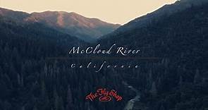 McCloud River fly fishing with The Fly Shop