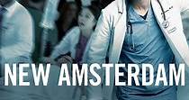 New Amsterdam temporada 1 - Ver todos los episodios online