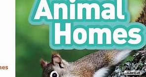National Geographic Kids Readers: Animal Homes (Pre-reader)