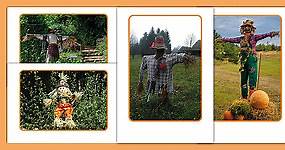 Scarecrow Display Photos