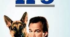 Superagente K-9 / K-9 (1989) Online - Película Completa en Español - FULLTV