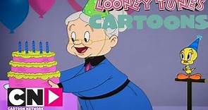 Il compleanno di Titti | Looney Tunes Cartoons | Cartoon Network Italia