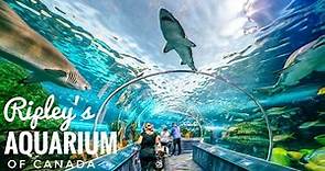 Ripley's Aquarium of Canada - 4K | Toronto, Ontario | Ripley's Aquarium Full Tour