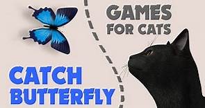 CAT GAMES BUTTERFLY on the SCREEN ❤