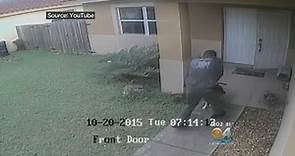 Florida City Cop Shoots And Kills Dog In Front Of Owner