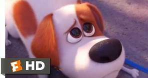 The Secret Life of Pets 2 - Max Goes to the Vet | Fandango Family