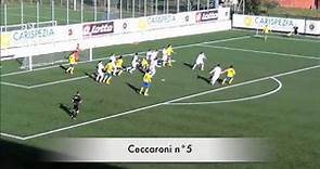 Pietro Ceccaroni Video Showreel