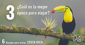 #3 ¿Cuál es la mejor época para viajar a Costa Rica? | 6 Razones para visitar COSTA RICA