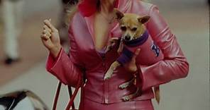 The "Legally Blonde" Chihuahua Has Died
