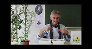 Pflanzenernährung: Anton de Bary und die Kasseler Symbiose