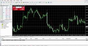 Login Different Account Into A Single MetaTrader