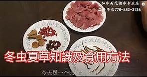 冬虫夏草知識及食用方法—【Maybel话你知】Cordyceps sinensis knowledge and edible method