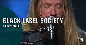 Black Label Society - In This River (Unblackened)