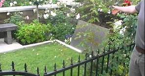 Tombes de Billy Wilder et Peter Falk au Westwood Memorial Park de Los Angeles