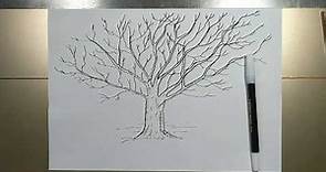 How to draw TREE WITHOUT LEAVES step by step
