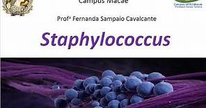 Aula Staphylococcus - UFRJ Macaé - MED ENF NUT