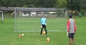 EDUARDO NIÑO-NIVEL II-CAIDAS-GOALKEEPERS.mpg