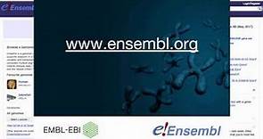 Ensembl Genome Browser
