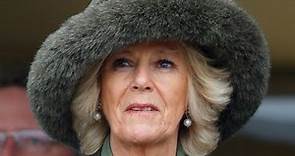 Who Is Camilla Parker Bowles' Son?
