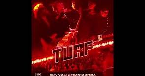 Turf - Kurt Cobain (AUDIO)