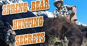 Spring Bear Hunting Tips - How to Stack Up Spot and Stalk Bears