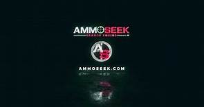 AmmoSeek - Searching Overview