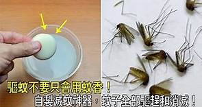 驅蚊不要只會用蚊香！教你自製滅蚊神器，蚊子全部驅趕和消滅！家裡一隻蚊子都沒有了！便宜又實用！