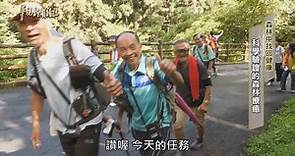 科學驗證的森林療癒｜森林中找回健康｜華視新聞雜誌 - 華視新聞網
