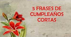 5 Frases De Cumpleaños Cortas Para Dedicar, Feliz Cumpleaños