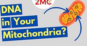 What is Mitochondrial DNA? Three Fun Facts About mtDNA