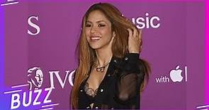 ¿A cuánto asciende la fortuna de Shakira? | Buzz
